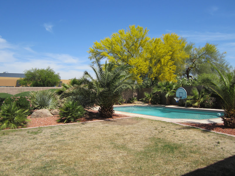 A & E's Adventures House Hunters Arizona Edition!