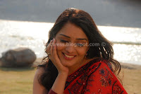 Nikitha, saree, photos, gallery