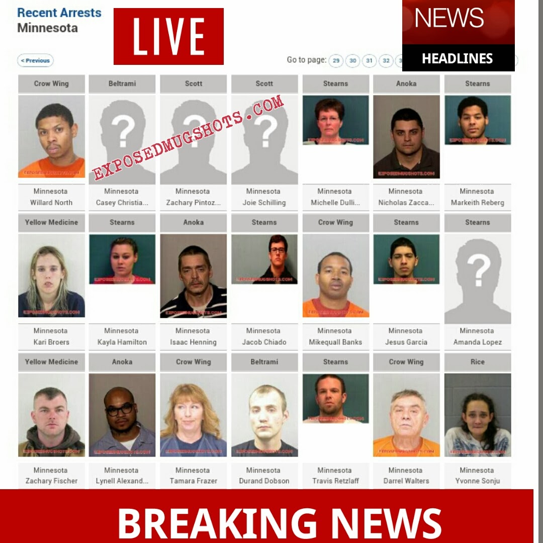Minnesota, MN Arrest Mugshot Profiles