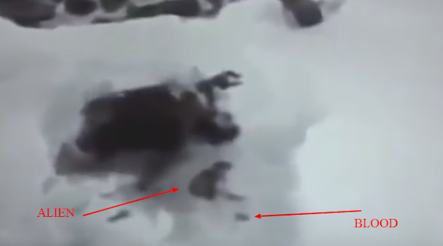 alien dead body in snow russia