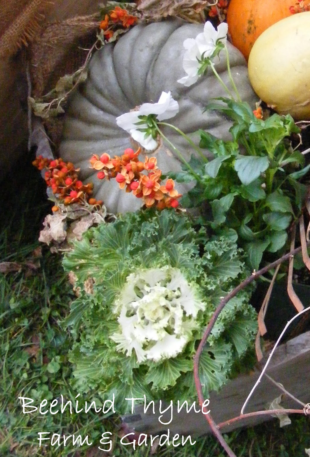 Beehind Thyme Farm & Garden Season's...