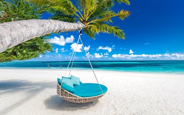 MALDIVE: COSA VEDERE E QUANDO ANDARE MALDIVE: COSA VEDERE E QUANDO ANDARE