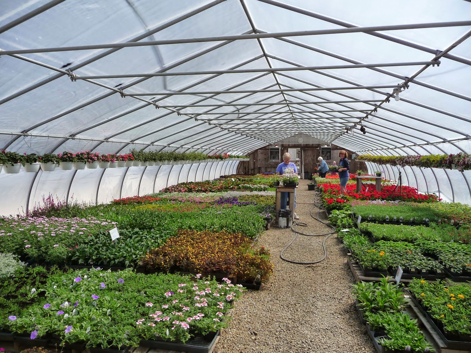 LADY ANTIQUE DEALER A Day In the Country