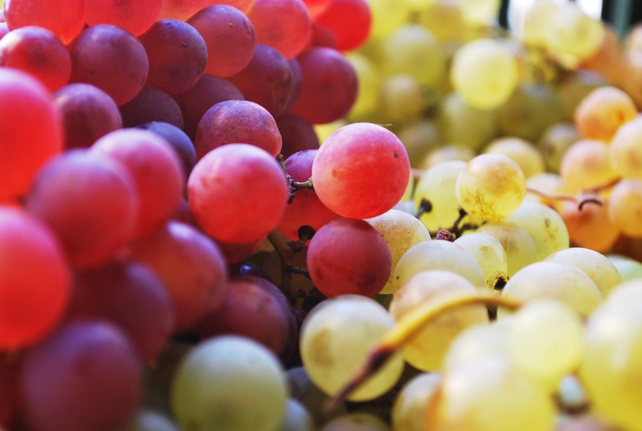 Grapes Fruit Grapes Fruit