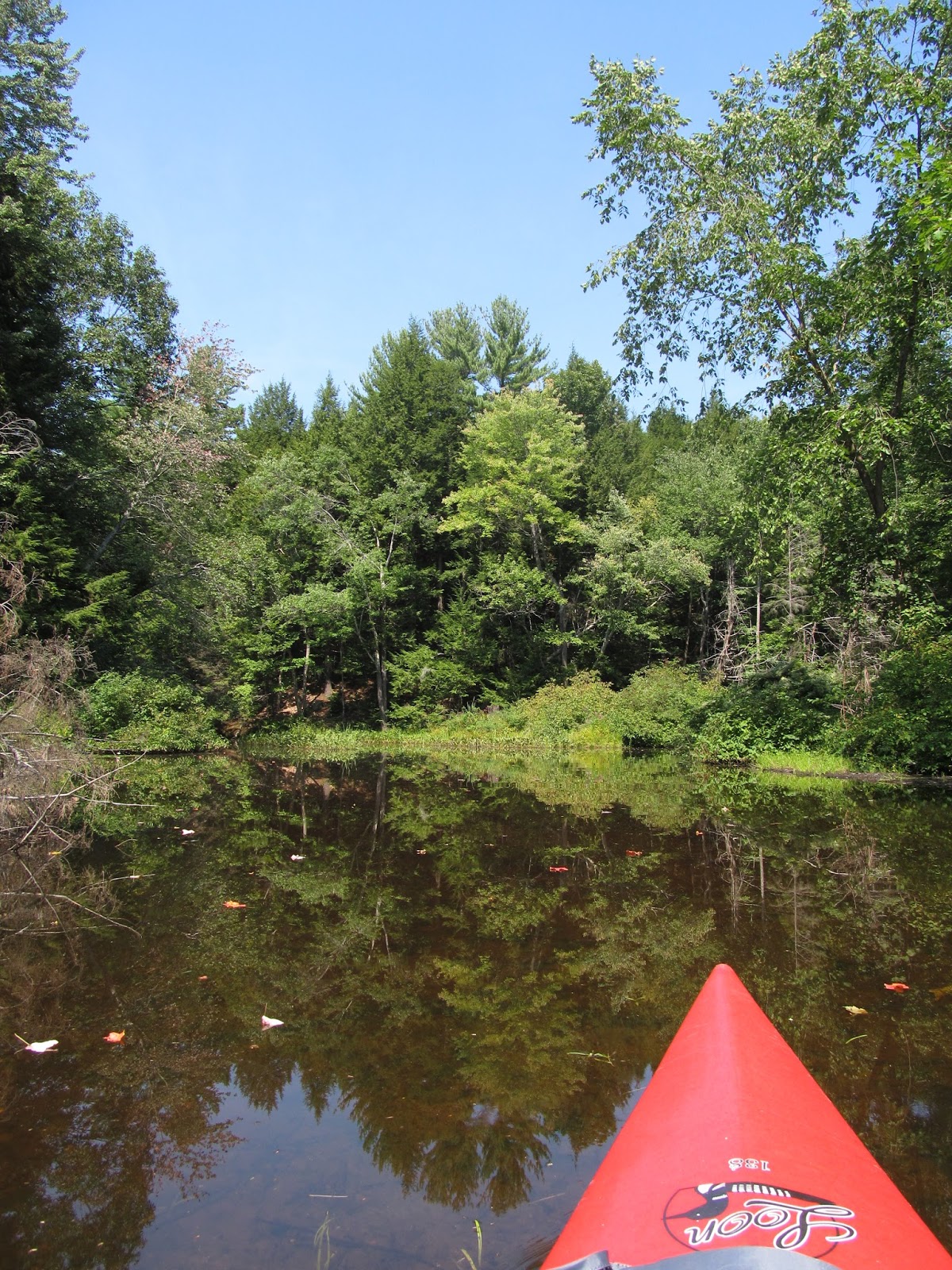Recreational Kayaking in Maine Salmon Falls River, South Berwick, Maine/Rollinsford, New Hampshire