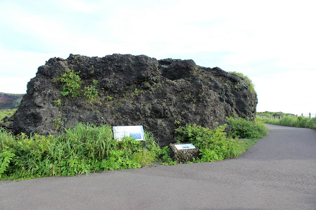 伊豆大島の火山、三原山トレッキングと火口をお鉢巡り【n】　カルデラ　溶岩