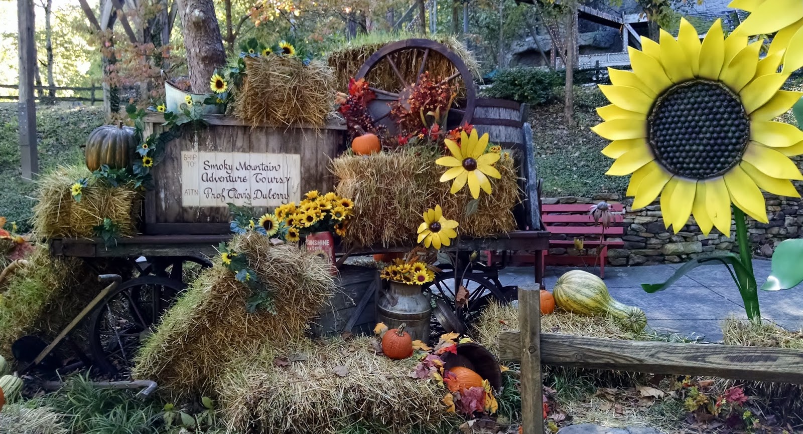 Fall 2015 at Dollywood with some Country Punkins