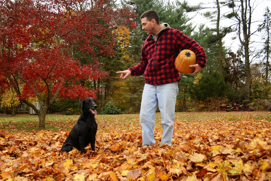 pumpkin murphy pumpkin murphy