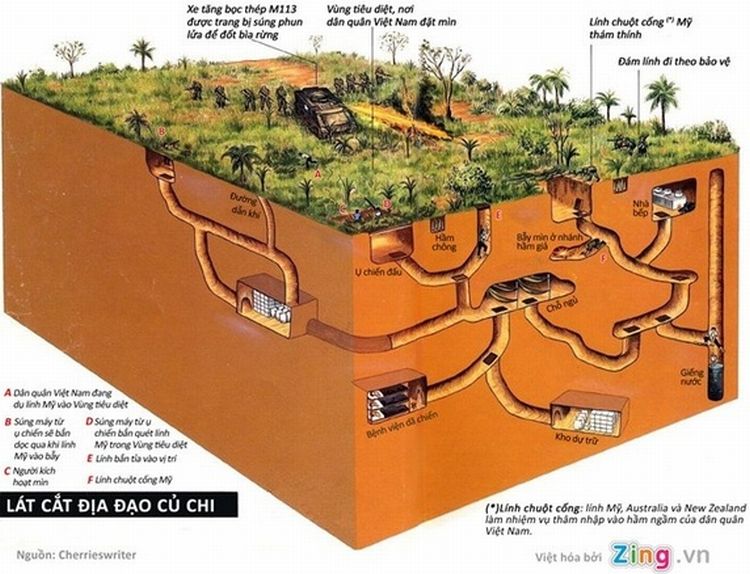 Hình ảnh có liÃn quan