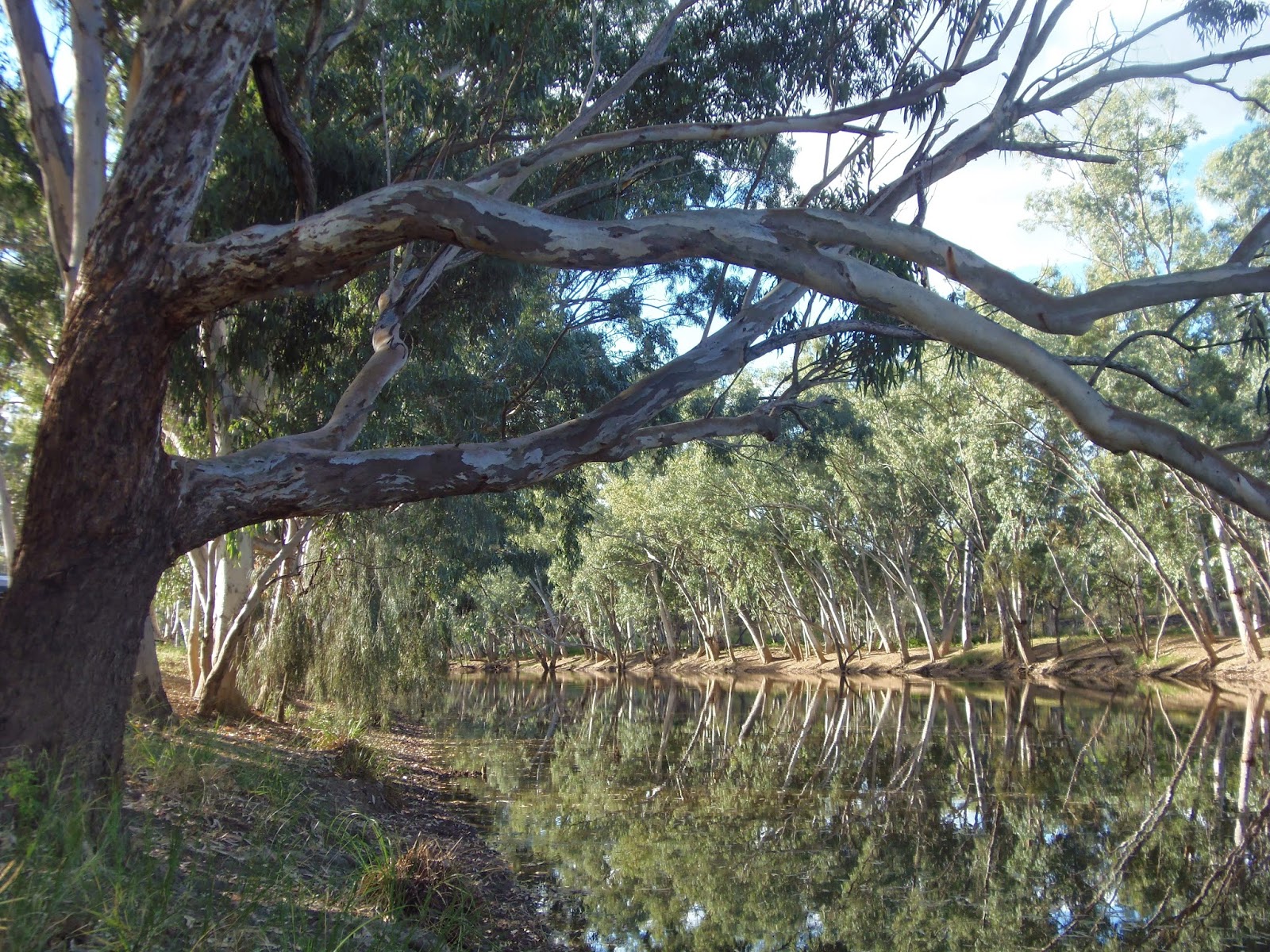 Solo Steve On The Road LLOYD JONES WEIR BARCALDINE Qld