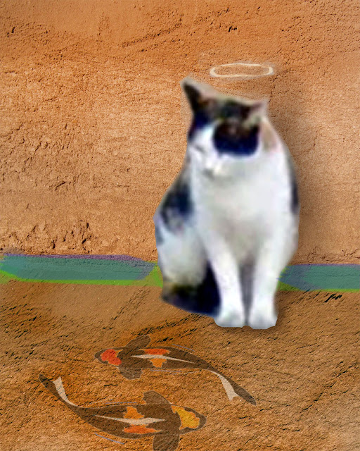 Calico Cat against orange wall with 2 Koi chalked on the ground in front of her, halo chalked in above her head