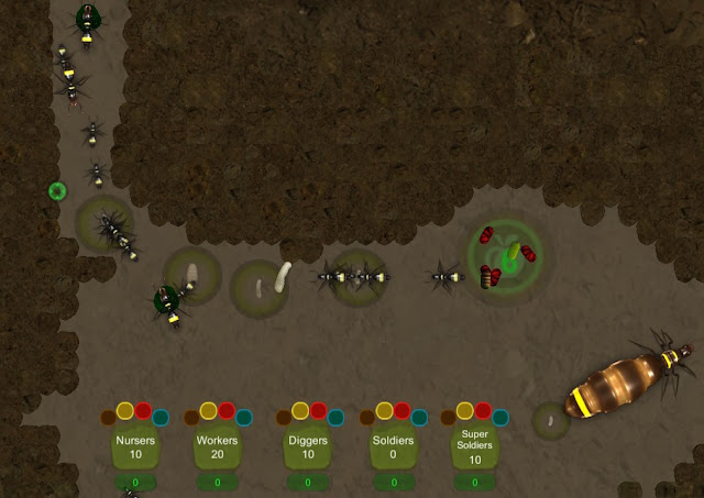 Ant Queen Ant Queen review