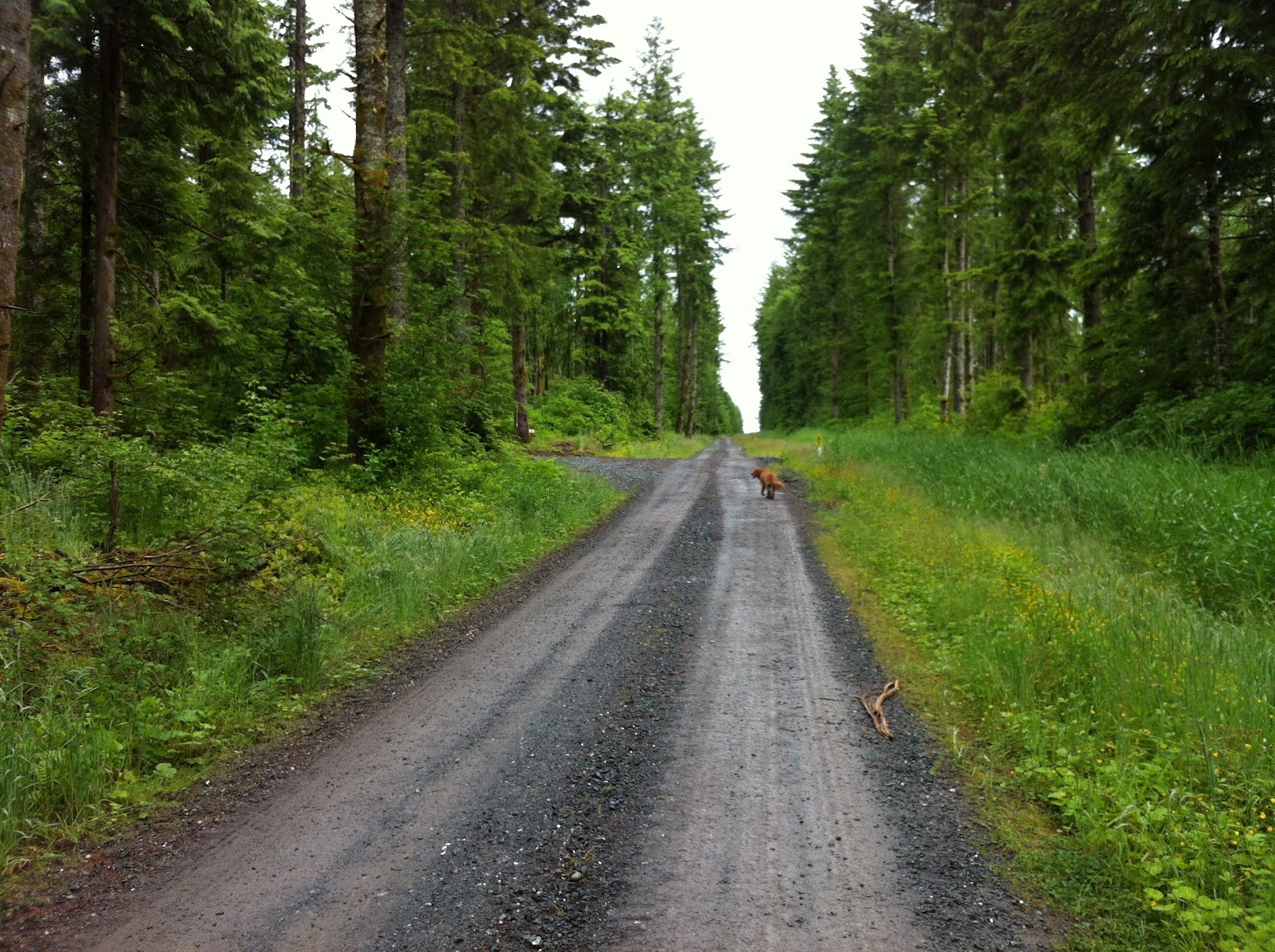Galbraith Hiking Kaya and Old Issues via Galbraith Lane, Pipeline