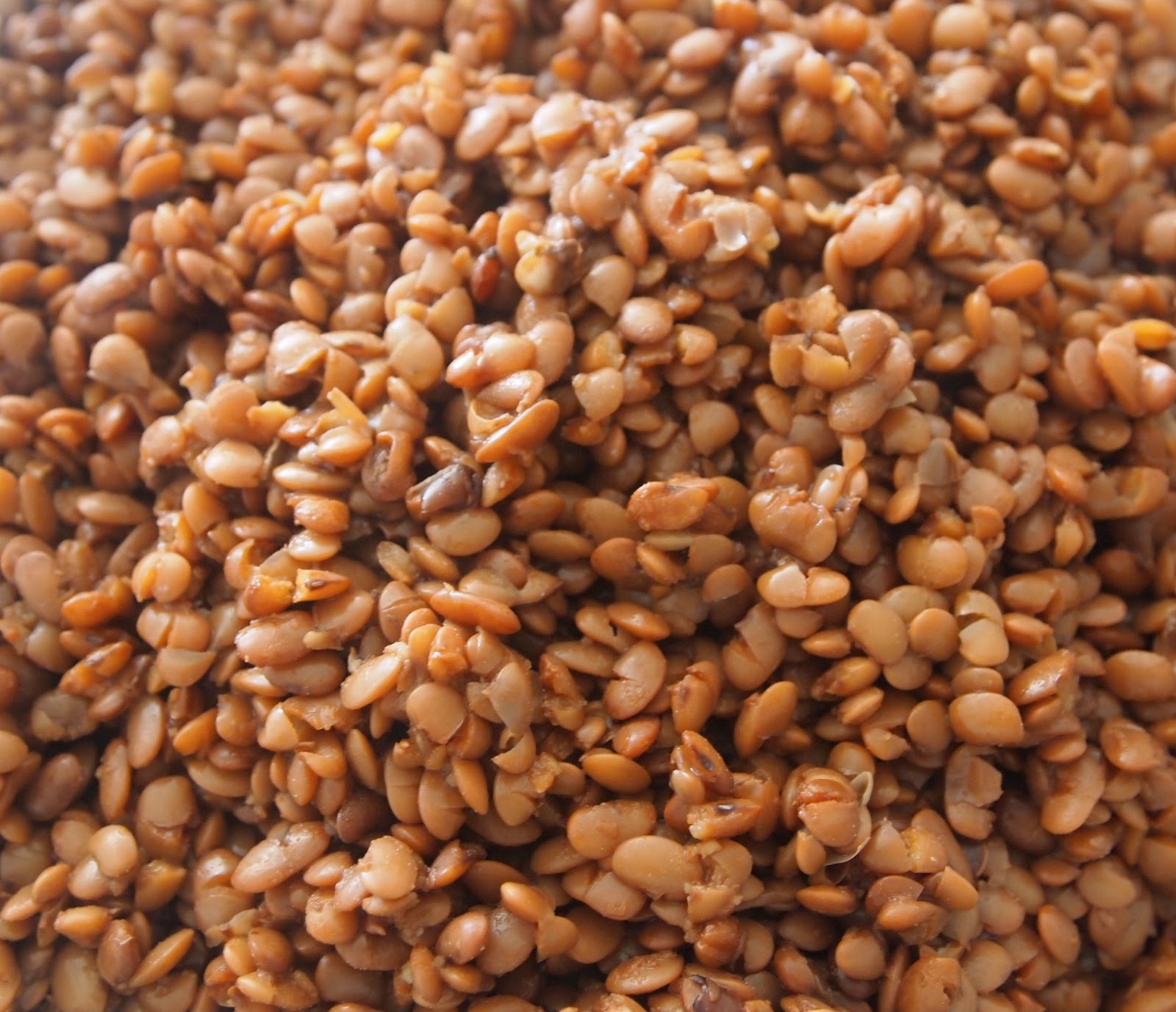 Aparna's Kitchen Horse Gram, the WonderBean