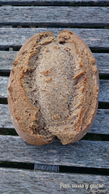 Pan%2Bde%2Bescanda1.jpg