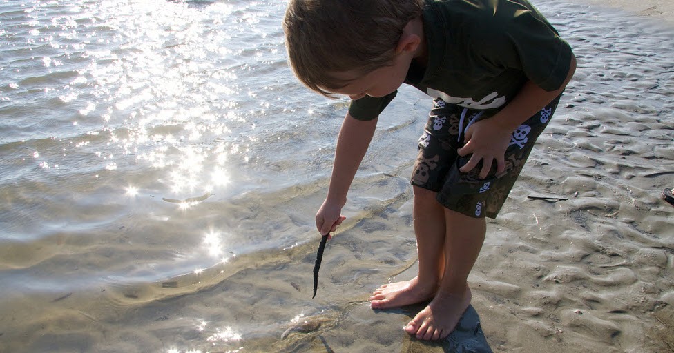 Control Alt Achieve Poke a Stick at It Being a Lifelong EdTech Learner