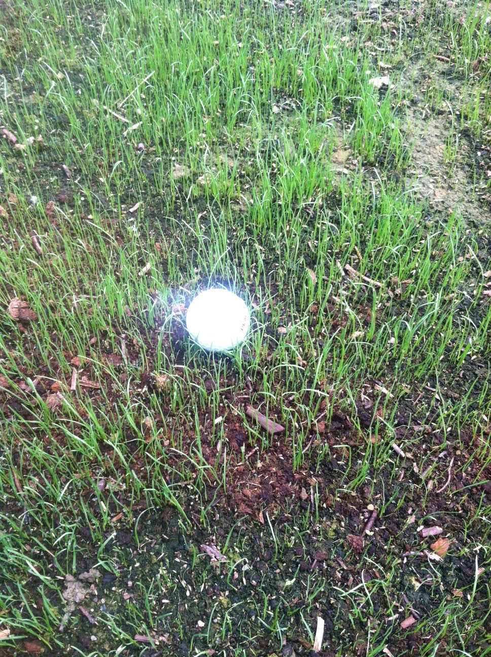 Northmoor Country Club Golf Course Operations Driving Range Practice