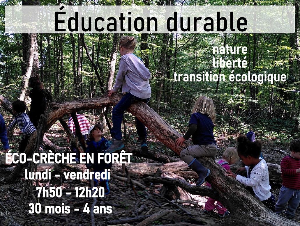 Éco-crèche en forêt - association Éducation durable