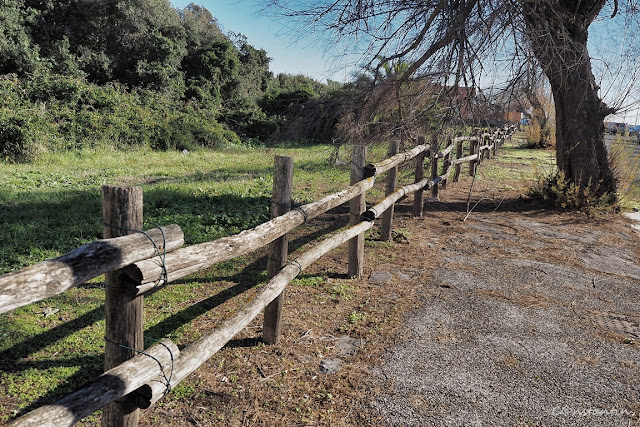 Lido di Ostia -zona din spatele plajei (toamnã târzie) - blog FOTO_IDEEA