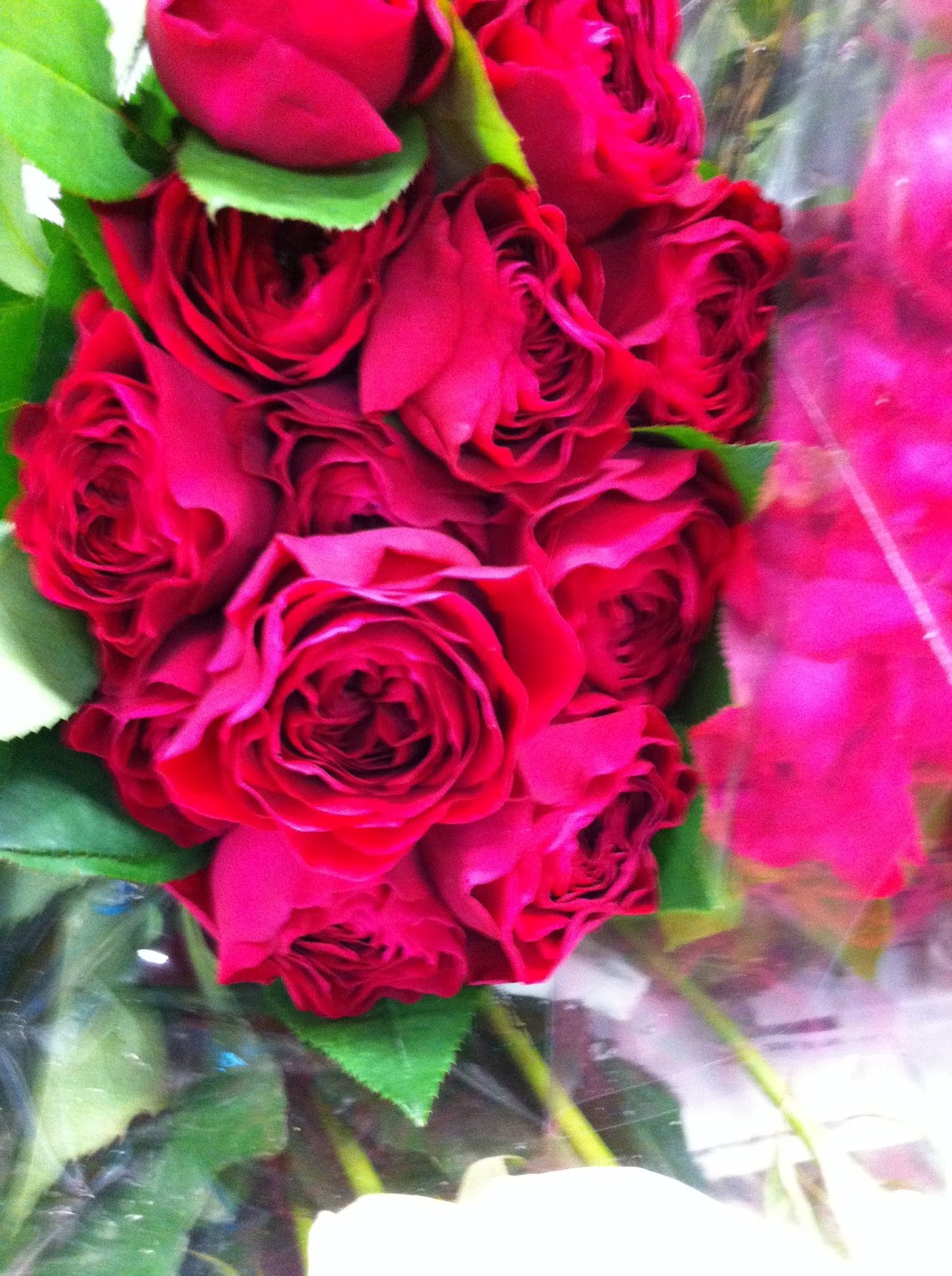 pico soriano designs: ROSES PART II
