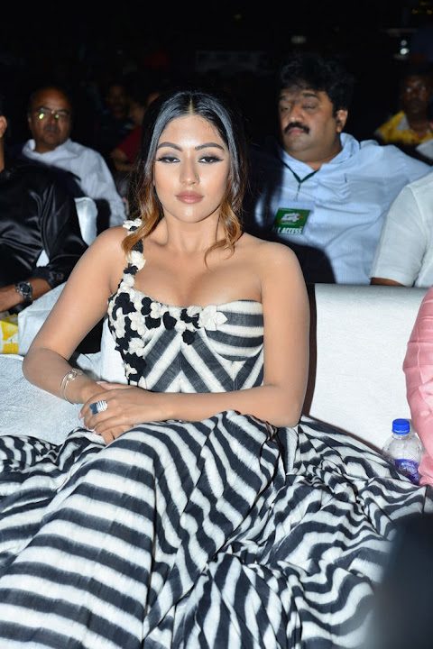 Anu Emmanuel at Naa Peru Surya Naa Illu India Pre Release Event