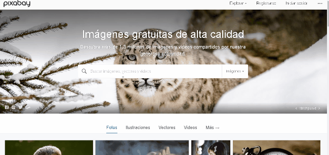 buscador_de_imagenes_de_pixabay buscador_de_imagenes_de_pixabay