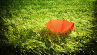 Umbrella HD Wallpapers for Desktop 1080p free download