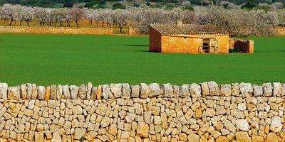 Estampes des nostro camp i pagessia mallorquins Estampes des nostro camp i pagessia mallorquins