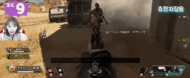 BelovedGiddyChrysomelid-size_restricted.gif