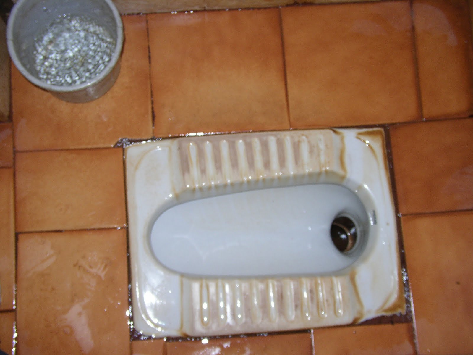 The Privy Counsel (A Bog Blog) A Passage to India More Indian Toilets