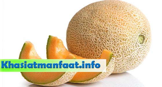 Khasiat dan Manfaat Buah Melon Khasiat dan Manfaat Buah Melon