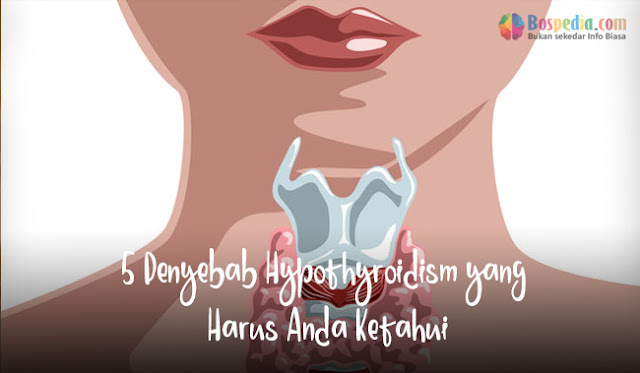 5 Penyebab Hypothyroidism yang Harus Anda Ketahui