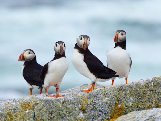 ���� ���� ������ �� ���� ������