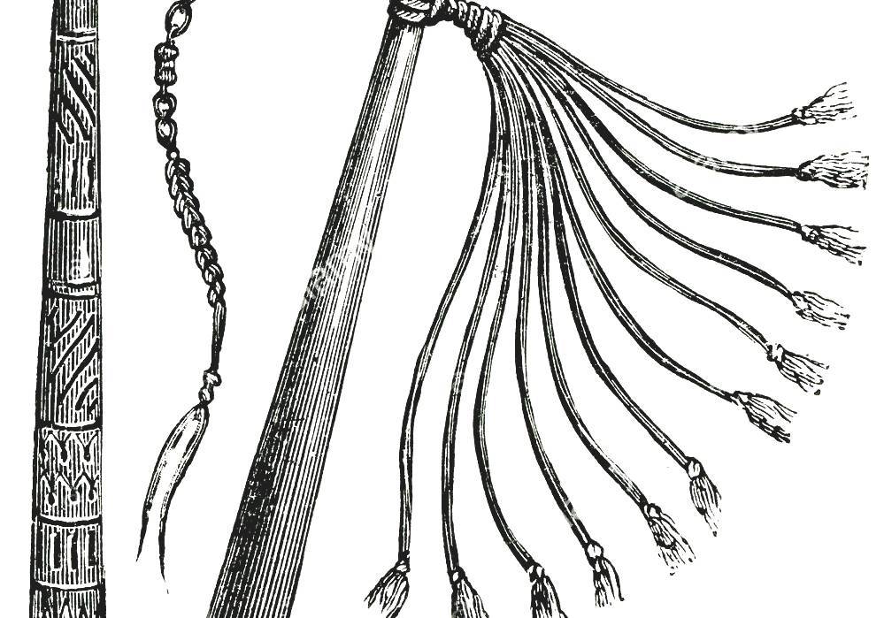 Scourge Roman Cat Of Nine Tails