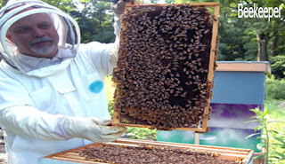 beekeeper occupation 
