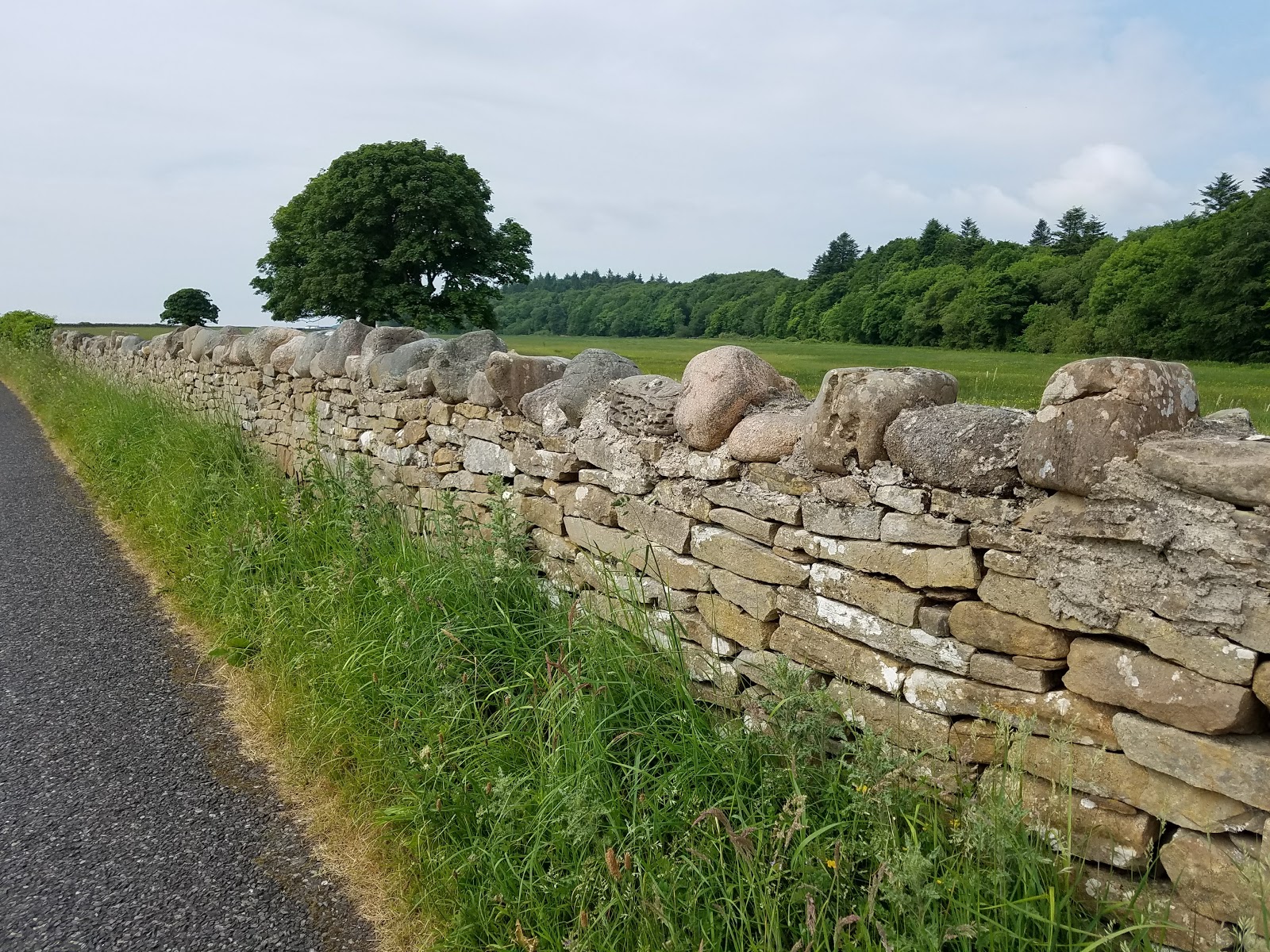 My Vintage Journeys STONE FENCES & WALLS OF IRELAND