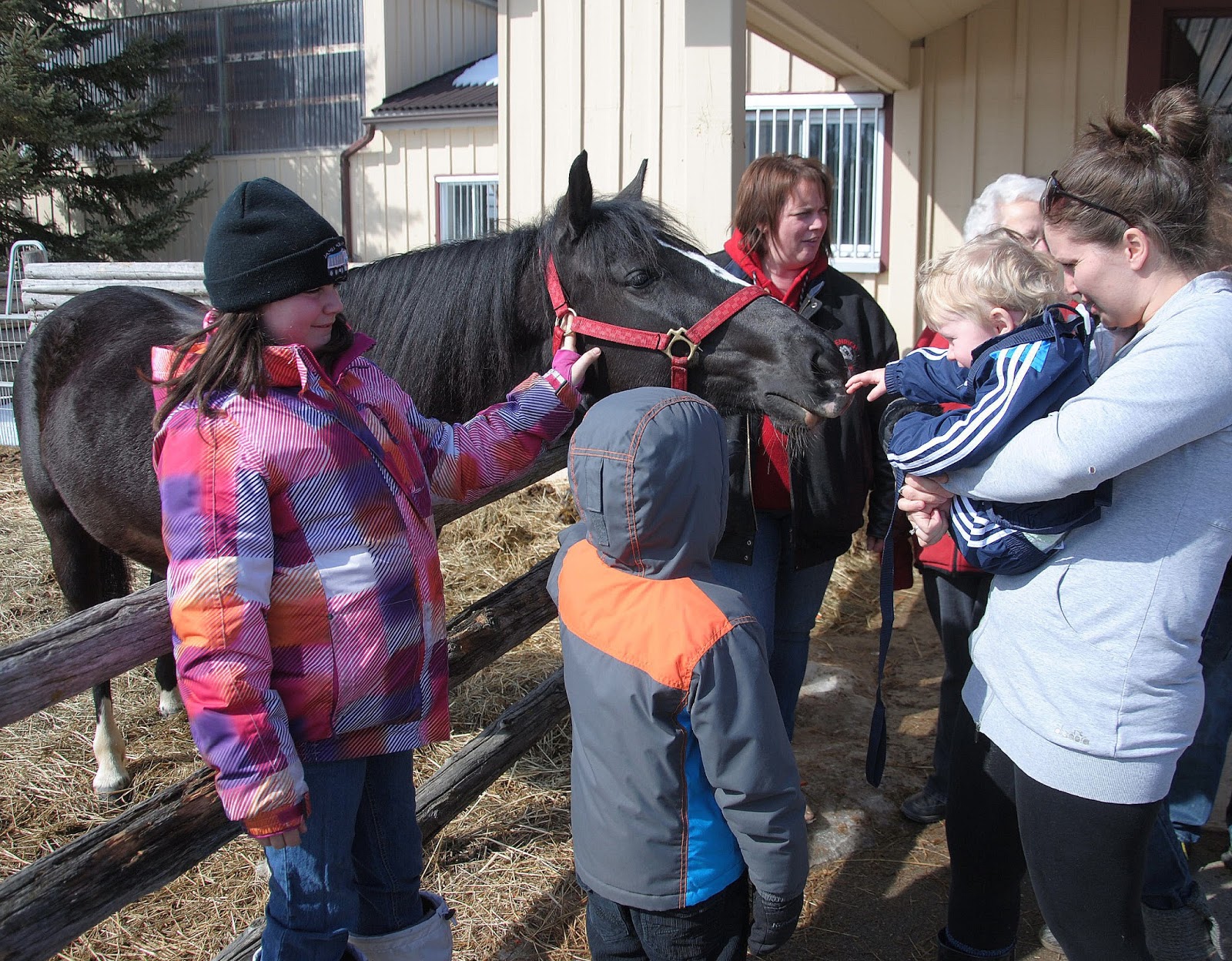 Camera on King & Aurora Schomberg Farm Tour