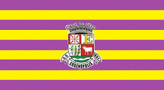 Bandeira de EugenÃ³polis MG