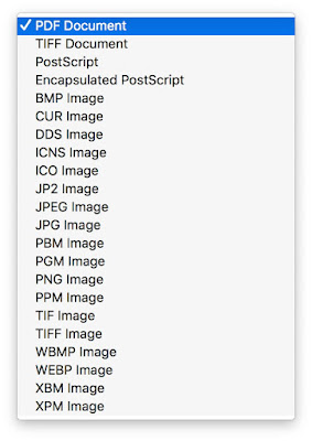 formati file selezionabili in djview per convertire documenti djvu mac