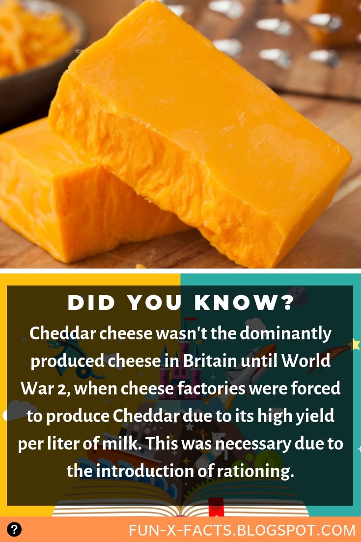 Interesting Fact About Cheddar Cheese Until World War 2 Amazing WTF Facts