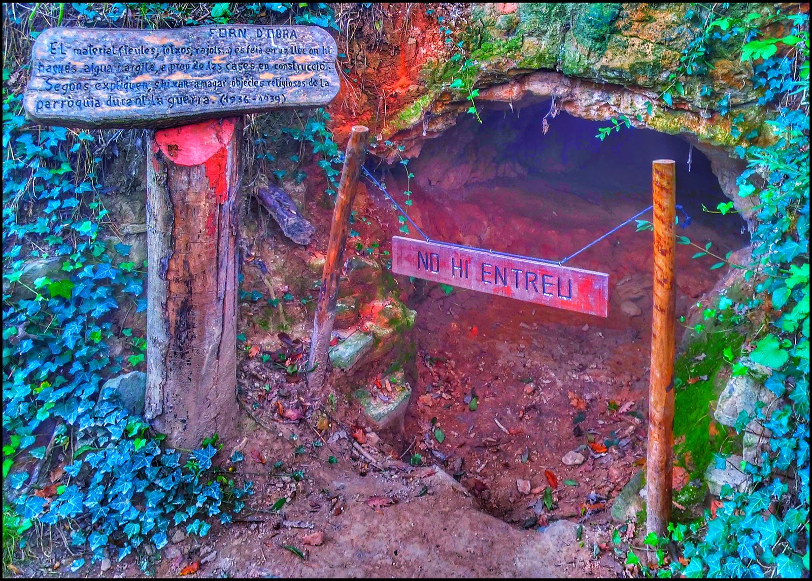 EL DIVINO PACIENTE Gurb, el bosque encantado.