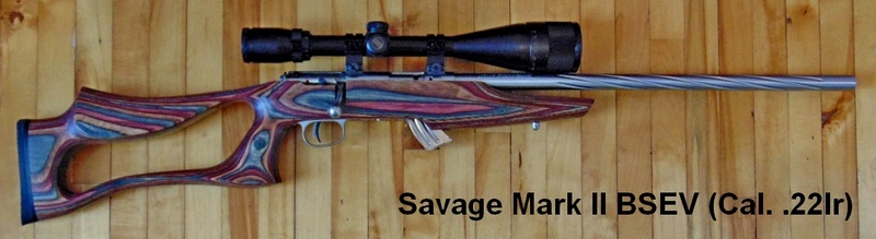 Armes à air et carabines .22lr de Picanox Savage-BSEV-bushnell