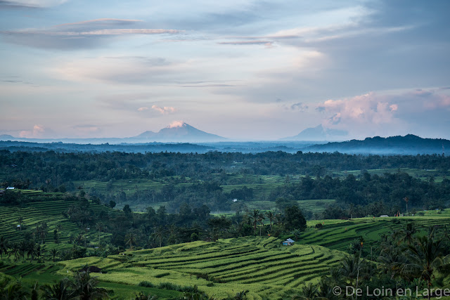 Rizières de Jatiluwih - Bali