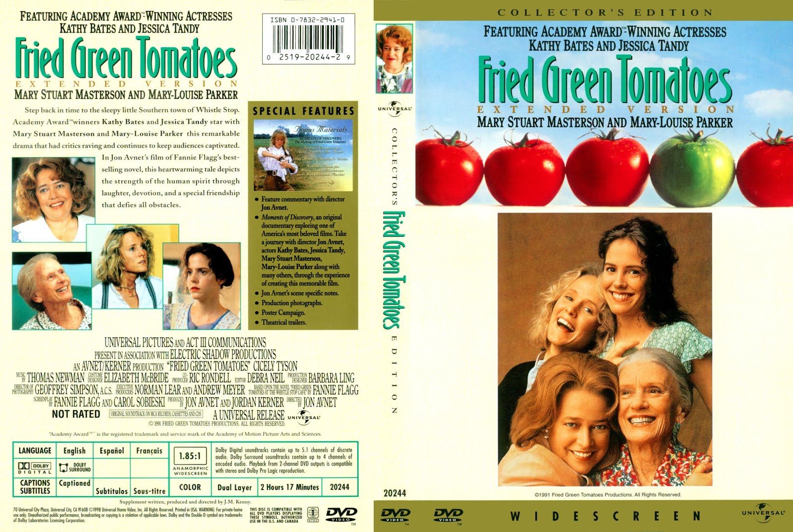Kızarmış Yeşil Domatesler - Fried Green Tomatoes 1991.