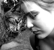 Tren Gaya 22+ Cat Bump It