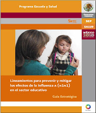 LINEAMIENTOS  PARA PREVENIR Y MITIGAR LOS EFECTOS DE LA INFLUENZA H1N1 EN EL SECTOR EDUCATIVO