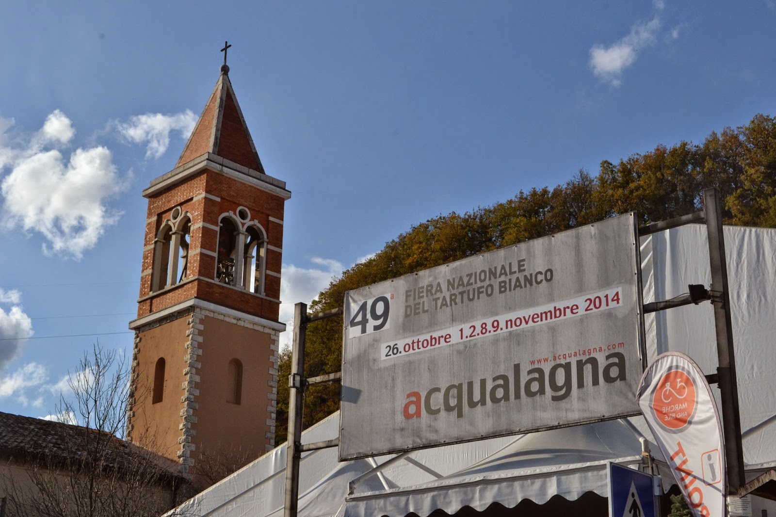 il tartufo e la 49° fiera nazionale del tartufo bianco di acqualagna: prodotto tipico delle marche