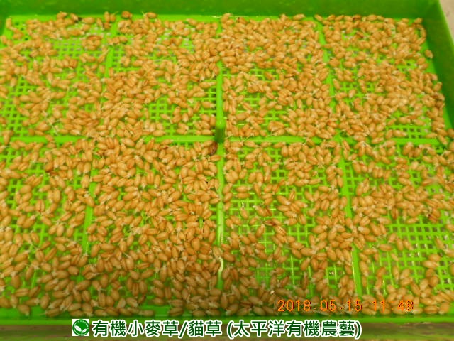 �p��,�߯�ش�,�߯�شӤ�k,�߯�,�߯�O����,�߯�diy,�߯�p����,�߯����,�^�K���@�k,�ؿ߯�