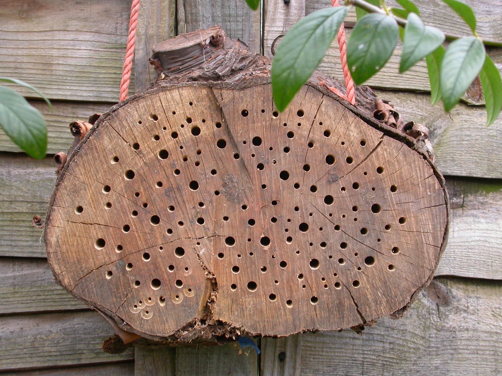 Bohemian Pages DIY Friday Mason Bee House