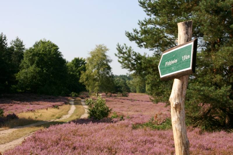 Nacktwanderweg undeloh